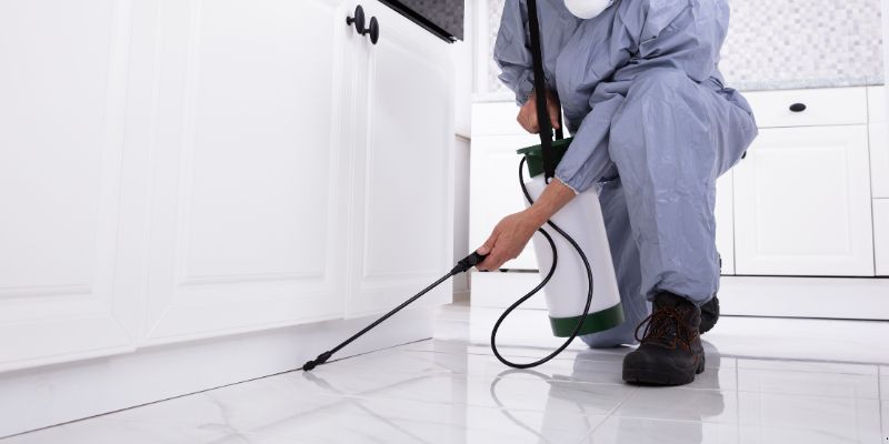 Como preparar a casa para dedetização em Petrolina